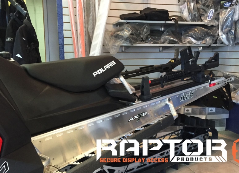 Fast Access Tactical Gun Mounting and Display System