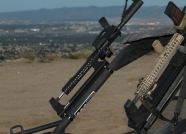 Fast Access Tactical Gun Mounting and Display System